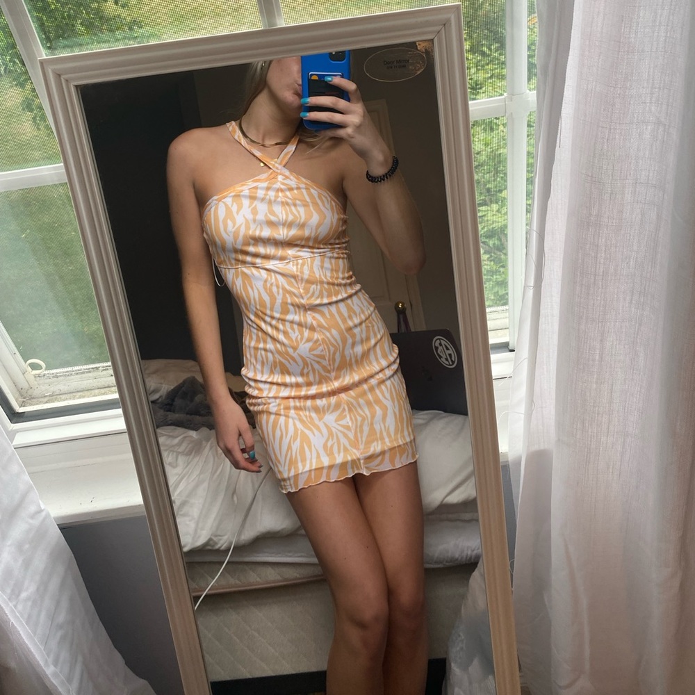 Zebra Isabelle’s cabinet dress